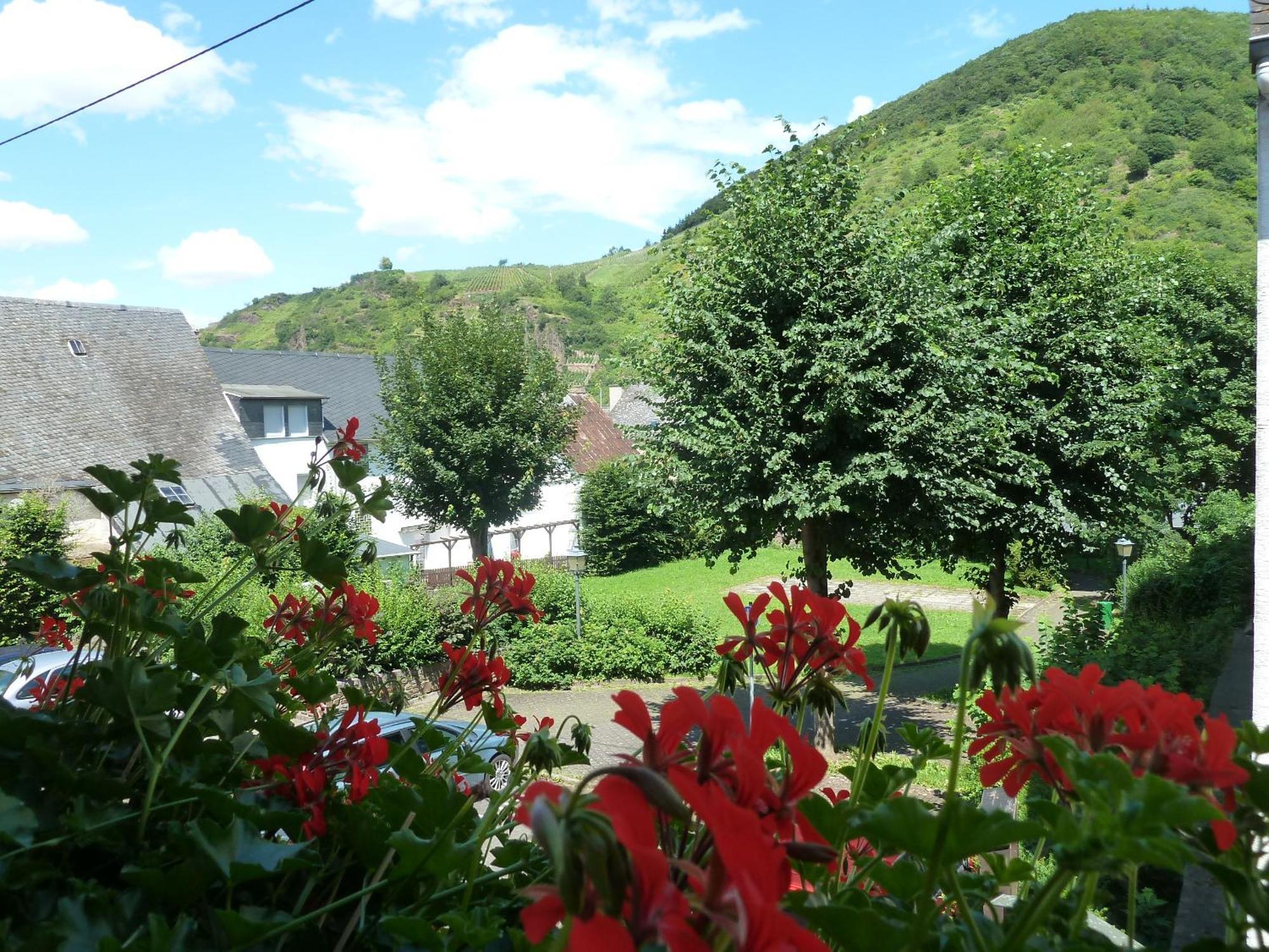Alte Weinstuben Steinfelder Hof Garni Bed & Breakfast Еленц-Полтерсдорф Екстериор снимка