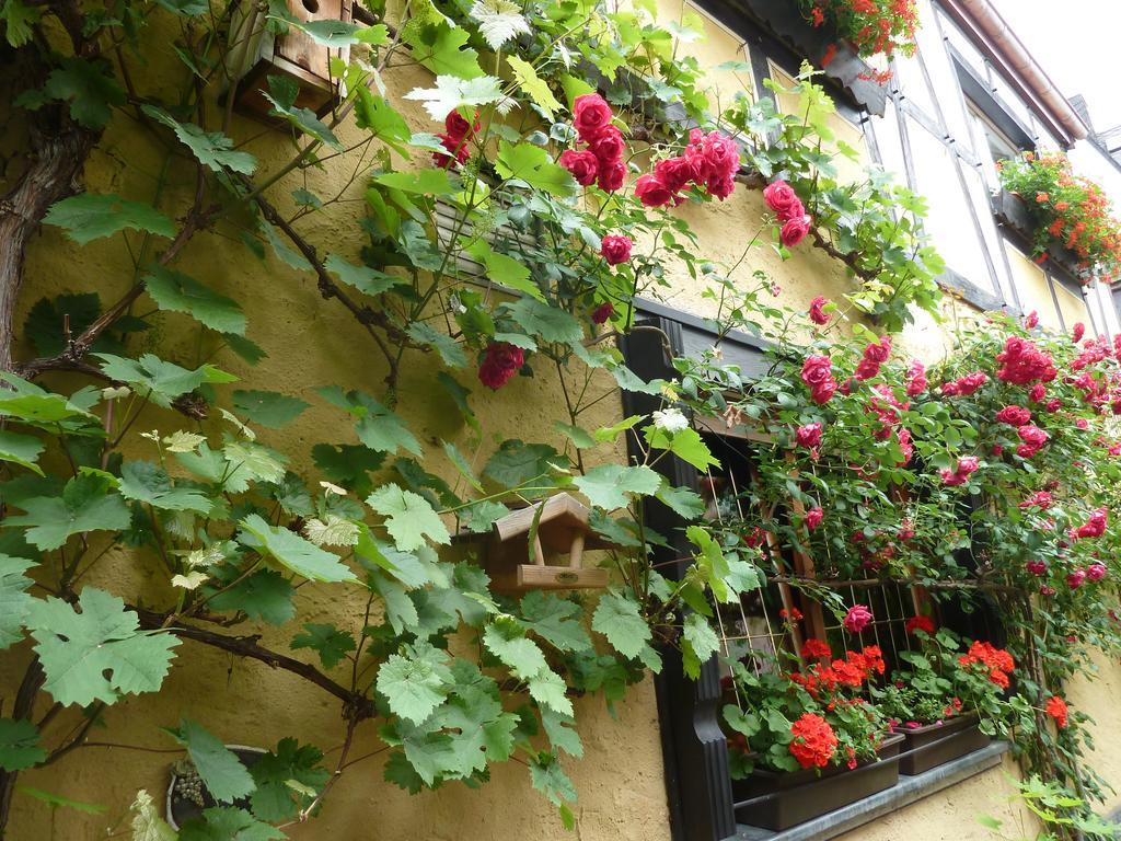 Alte Weinstuben Steinfelder Hof Garni Bed & Breakfast Еленц-Полтерсдорф Екстериор снимка